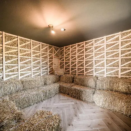 Villa Luxus Mit 23 Zimmern Und 19 Baedern Und Baiersbronn